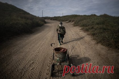 Догадку советского ученого о древнем поселении зверобоев подтвердили в России. Догадку советского этнографа и лингвиста Михаила Членова о древнем поселении эскимосов-зверобоев на Чукотке подтвердили. Об этом сообщает портал «ИА Чукотка». По данным издания, работавшая в 2023 году в этом российском регионе экспедиция обнаружила на косе южнее мыса Аннюалькаль поселение, основанное тысячу лет назад.