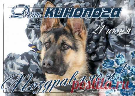 Собака не предаст, ты это знаешь
И трудишься кинологом охотно,
Все будни ты дрессуре посвящаешь
И просто упиваешься работой.