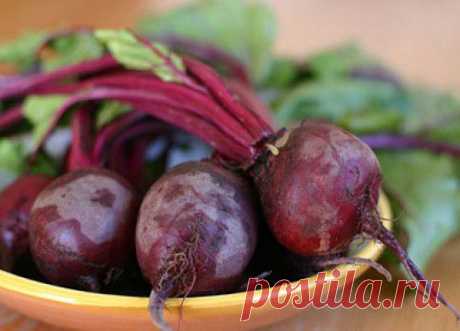 Вкусные рецепты