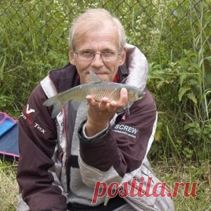 Все что нужно знать о мотыле - МирТесен