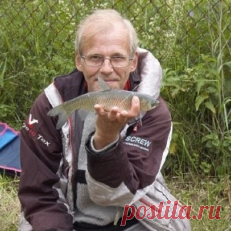 Все что нужно знать о мотыле - МирТесен