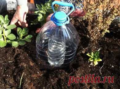 Система капельного полива своими руками — 6 соток