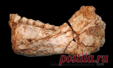 Человек разумный появился на 100 000 лет раньше, чем считалось до сих пор. Читайте о находке из Марокко, которая обещает переписать учебники по истории.