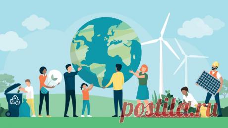 Олимпиадный курс по экологии: интенсивная подготовка к региональному этапу ВсОШ | PortalBio