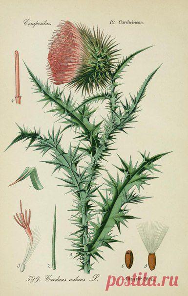 ~ MON PLAISIR ~ Вещи для души. Винтаж,Прованс.