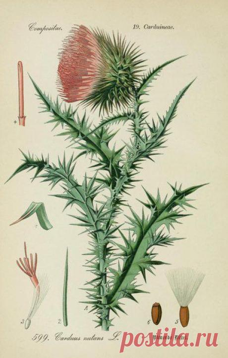 ~ MON PLAISIR ~ Вещи для души. Винтаж,Прованс.