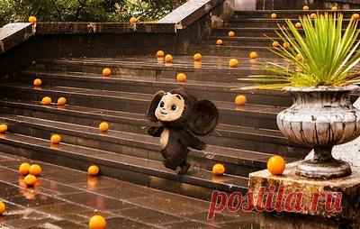 Кассовые сборы "Чебурашки" в России превысили 5 млрд рублей. Этот фильм стал самым кассовым за всю историю отечественного проката