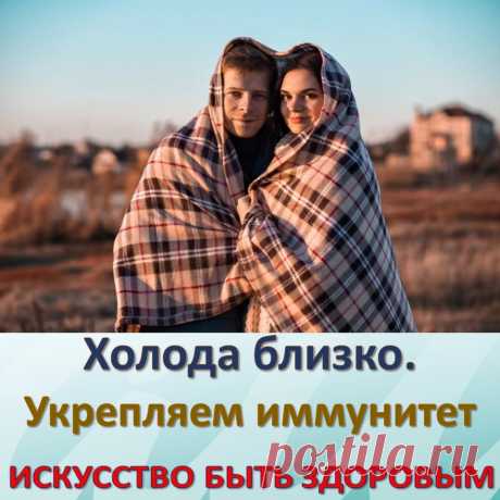 Холода близко. Укрепляем иммунитет
Смена времен года и погоды всегда несет за собой эпидемии простудных и вирусных заболеваний. На осенний и весенний периоды приходится около 80% всех респираторных заболеваний. Связано это с разными факторами: сменой температуры воздуха, ослабленным (например, после зимы) иммунитетом, комфортными условиями (температура, влажность) для распространения вирусов и бактерий.