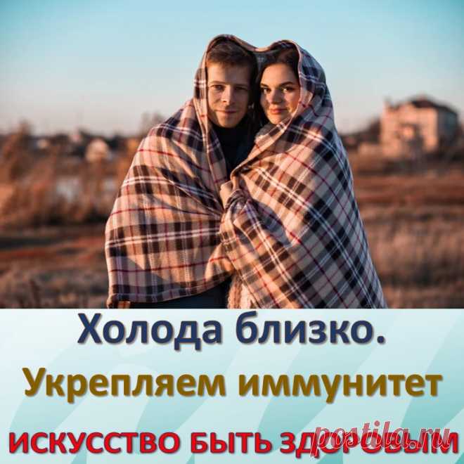 Холода близко. Укрепляем иммунитет
Смена времен года и погоды всегда несет за собой эпидемии простудных и вирусных заболеваний. На осенний и весенний периоды приходится около 80% всех респираторных заболеваний. Связано это с разными факторами: сменой температуры воздуха, ослабленным (например, после зимы) иммунитетом, комфортными условиями (температура, влажность) для распространения вирусов и бактерий.