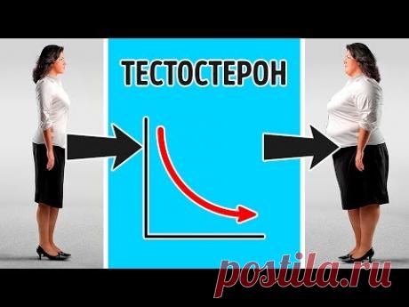 9 Гормонов, Стимулирующих Набор Веса, и Как Этого Избежать