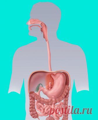 Нехватка КАЛИЯ: 8 тревожных сигналов | Всегда в форме!