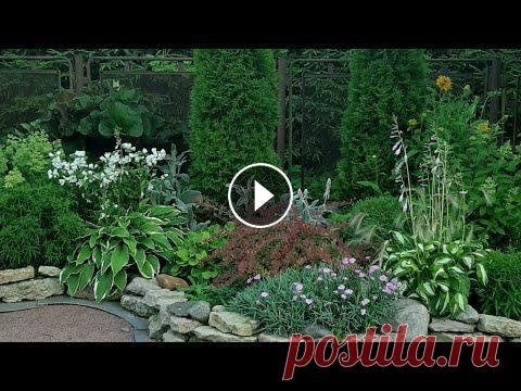 Оформление клумбы. Цветение с весны до осени. Хвойные и многолетники. Оформление цветочной клумбы.Клумба непрерывного цветения. Хвойные и многолетники. Цветение с весны до осени. Просто и со вкусом. Делаем сад своими рук...