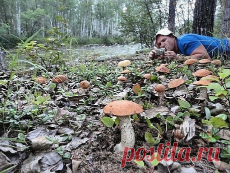 Вот бы попасть туда!