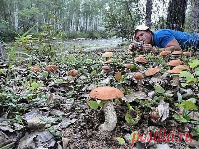 Вот бы попасть туда!