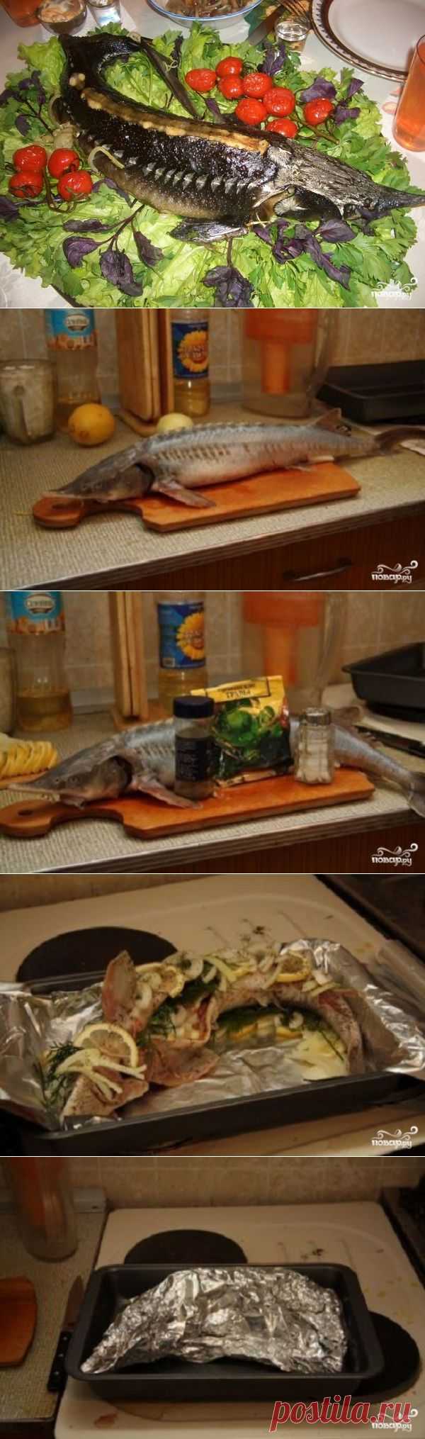 Стерлядь, запеченная в фольге - пошаговый кулинарный рецепт на Повар.ру