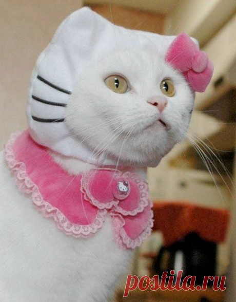 ♥