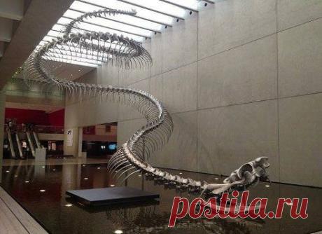 Самое страшное - она существовала на самом деле. Титанобоа — вымерший вид