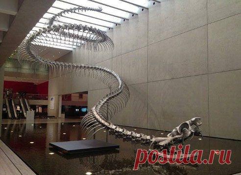 Самое страшное - она существовала на самом деле. Титанобоа — вымерший вид