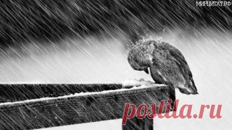 Google+