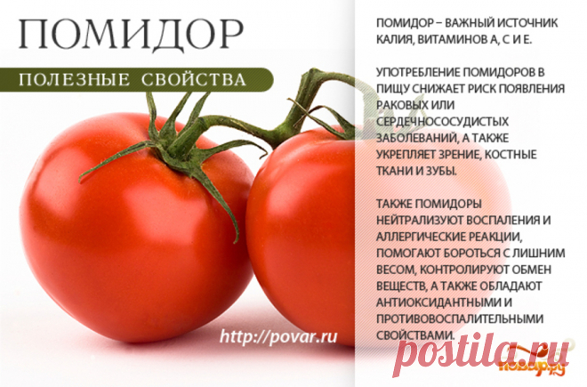Помидор полезные свойства
