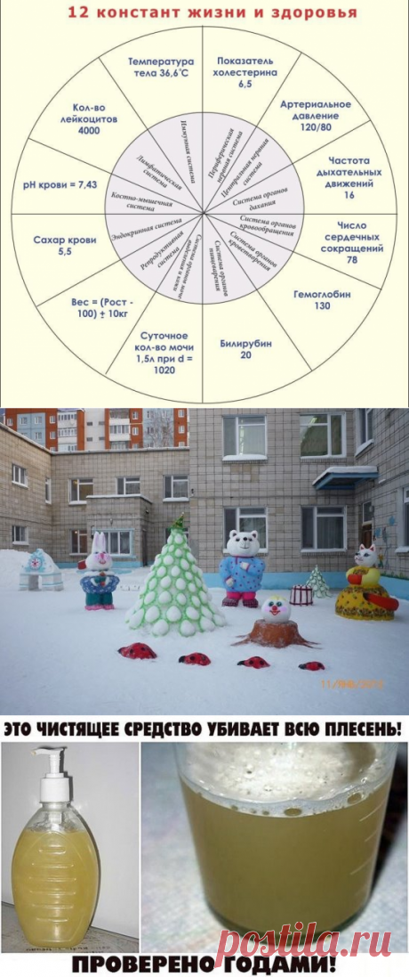 (4) Одноклассники