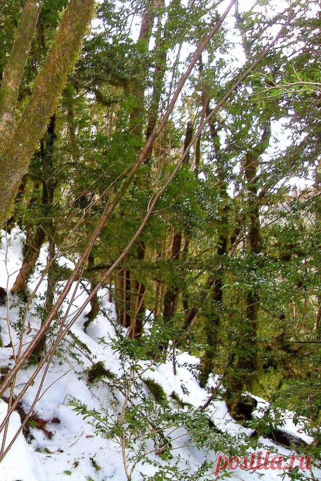 Зимой, в ущелье, на Кавказе - 9 Сентября 2015 - Персональный сайт