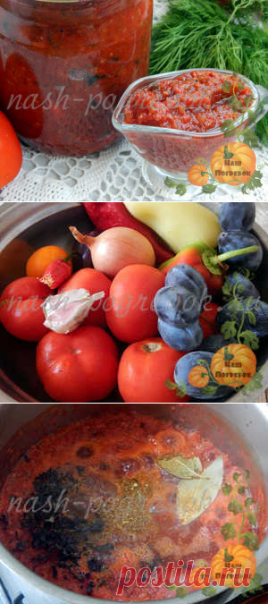 Аджика из сливы на зиму: рецепт – пальчики оближешь