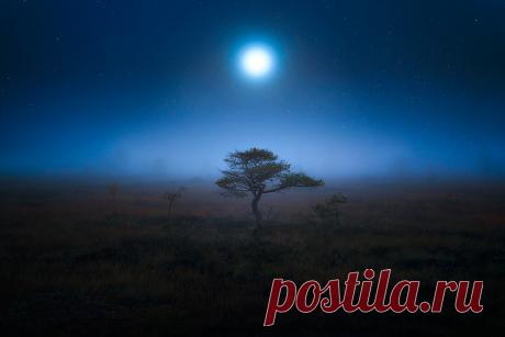 Ночные пейзажи Мики Суутари — Российское фото