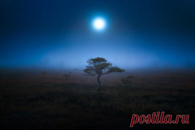 Ночные пейзажи Мики Суутари — Российское фото