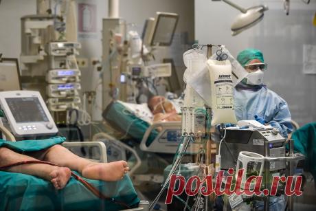 Почему именно Италия: Тайна "странных смертей" раскрыта - Царьград - медиаплатформа МирТесен