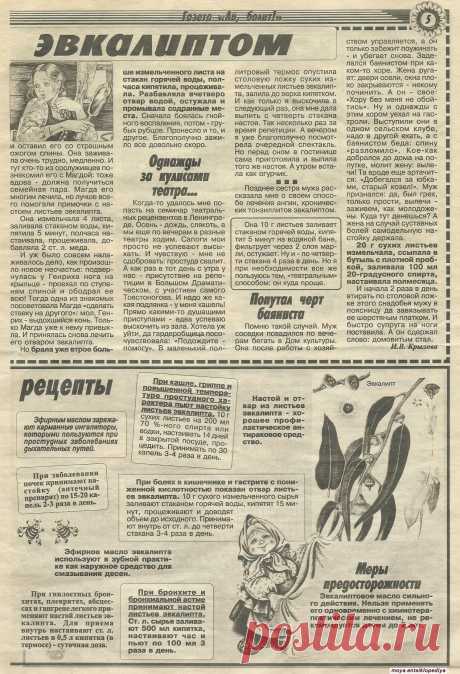 Лечимся эвкалиптом - 2-ая страница из двух