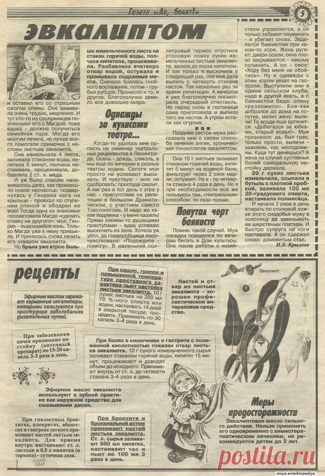 Лечимся эвкалиптом - 2-ая страница из двух