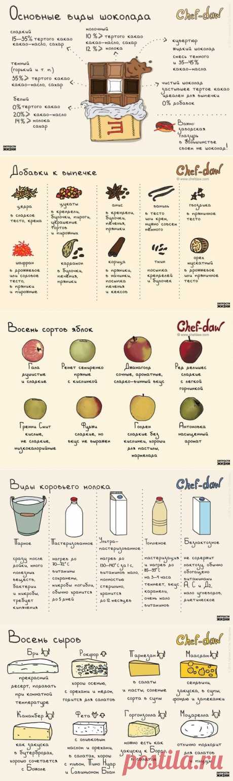 10 шпаргалок, которые пригодятся на кухне