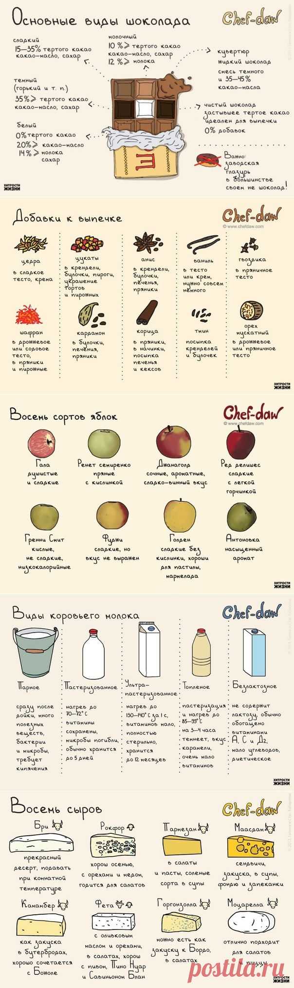 10 шпаргалок, которые пригодятся на кухне