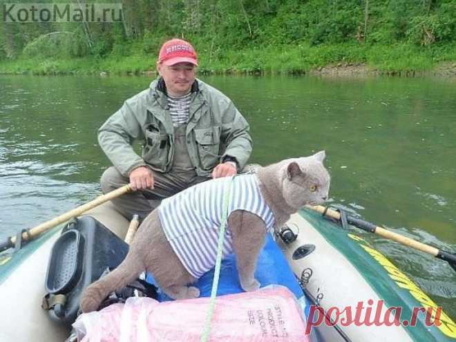 Ловись рыбка большая... и малая...