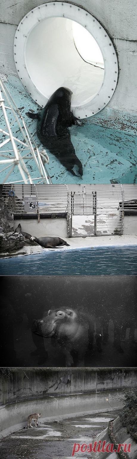 Тому, кто бьёт копытом, челом бить ни к чему… | postila.ru/post/category/shopping