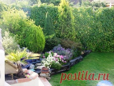 patios cordobeses interiores bonitos - Buscar con Google