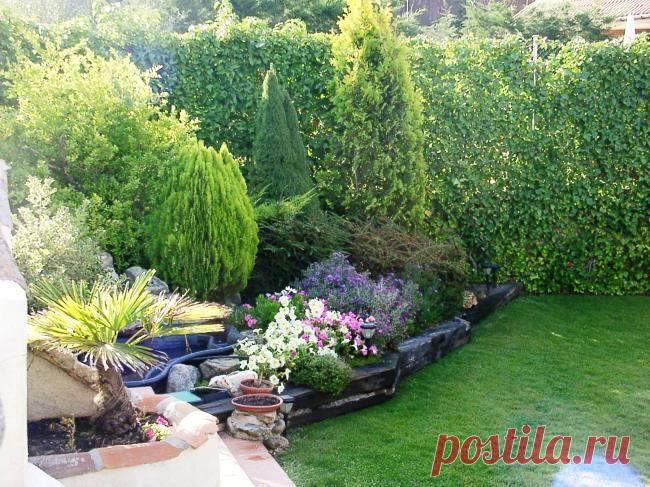 patios cordobeses interiores bonitos - Buscar con Google