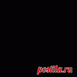 Дикая роза – Моника Кастро..