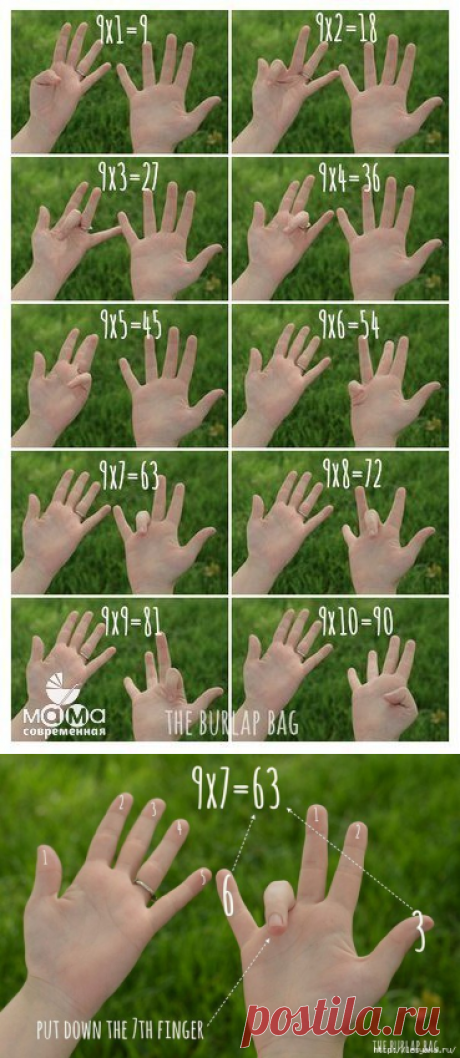 сообщение ИНТЕРЕСНЫЙ_БЛОГ_ЛесякаРу : Как легко научить ребенка умножать на 9! (14:56 01-04-2016) [3925073/387878389] - allavict2008@mail.ru - Почта Mail.Ru