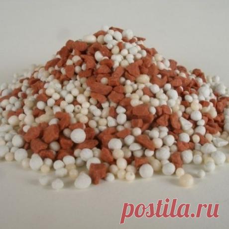 СКОЛЬКО ГРАММОВ УДОБРЕНИЙ ВМЕЩАЮТ СПИЧЕЧНЫЙ КОРОБОК, СТАКАН И ЛОЖКА