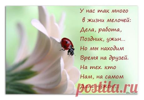 хх