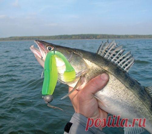 Крупная резина – опыт использования