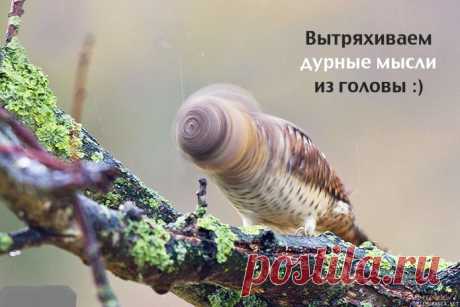 Упражнение, с которого стоит начинать и заканчивать каждый день!!!А Вы так делаете?
