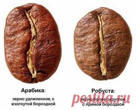 Как нас обманывают производители кофе