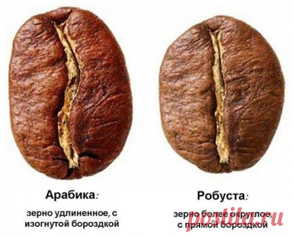 Как нас обманывают производители кофе