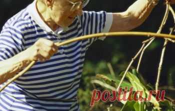 Эксперты считают, что все россияне могут жить до 100 лет