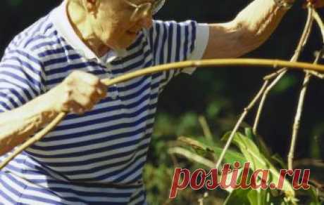 Эксперты считают, что все россияне могут жить до 100 лет