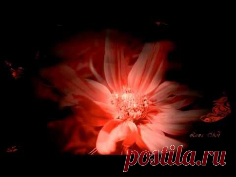 Jose Luis Perales ♡  Quisiera Decir Tu Nombre - YouTube