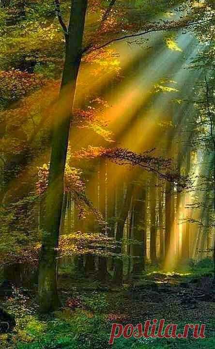 26 марта 2014 г.